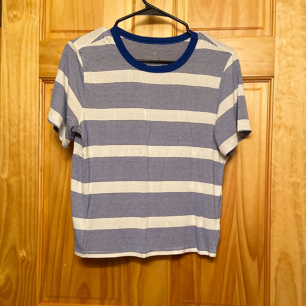 American Eagle Crop Top